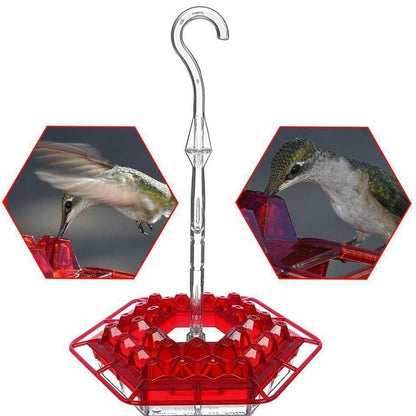 💥Last Day Sale 45% OFF🎁Hanging Outdoor Hummingbird Feeder🐦