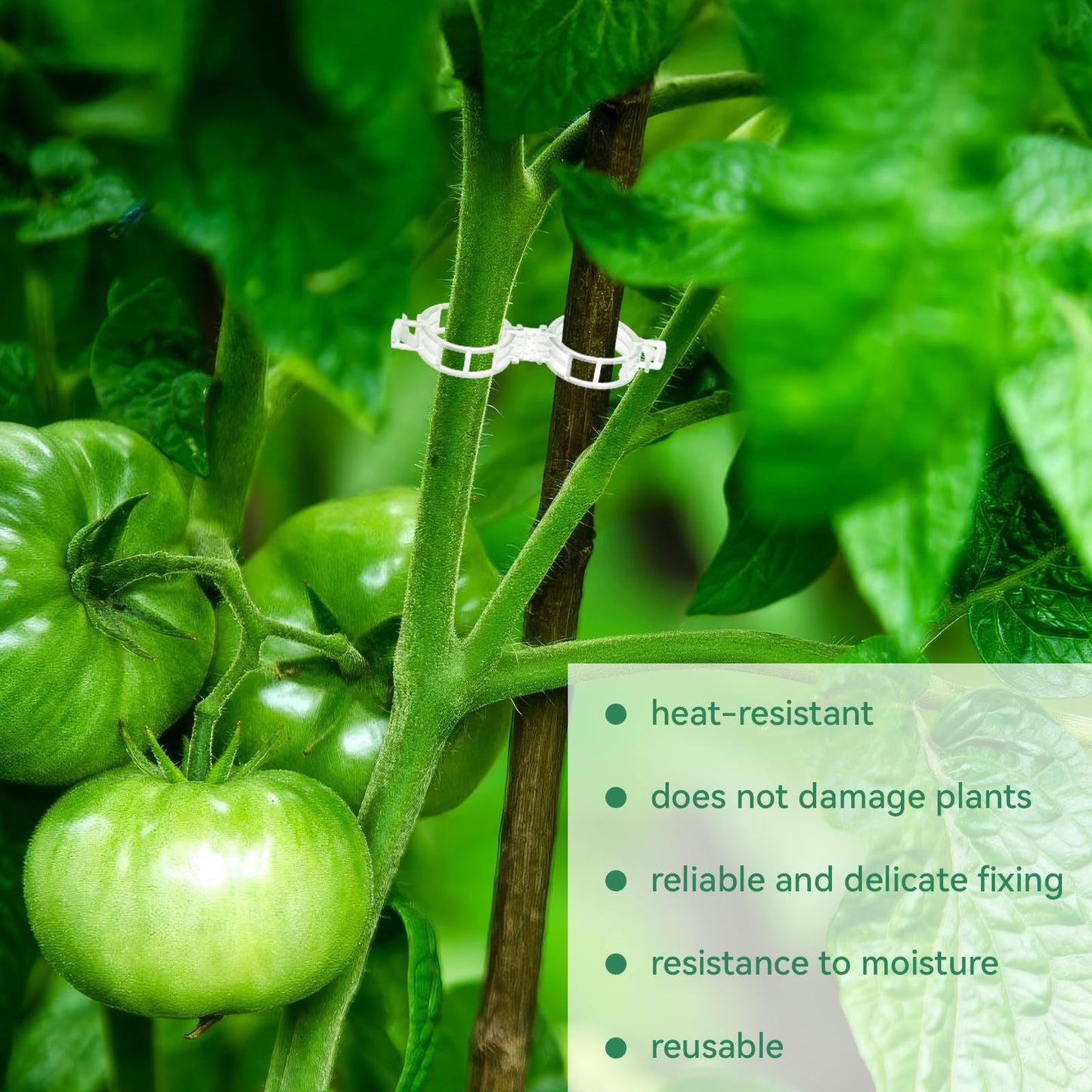 🔥Last Day Sale Tomato Clips, Plastic Trellis Clips